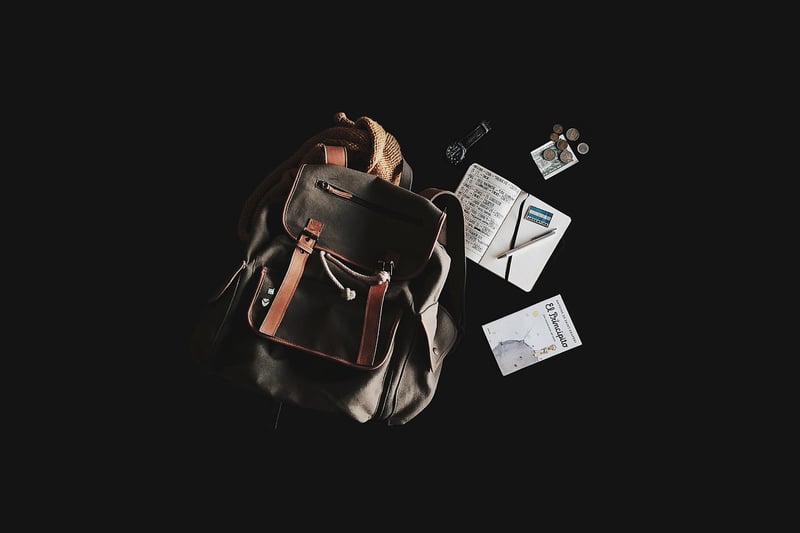 Travelers